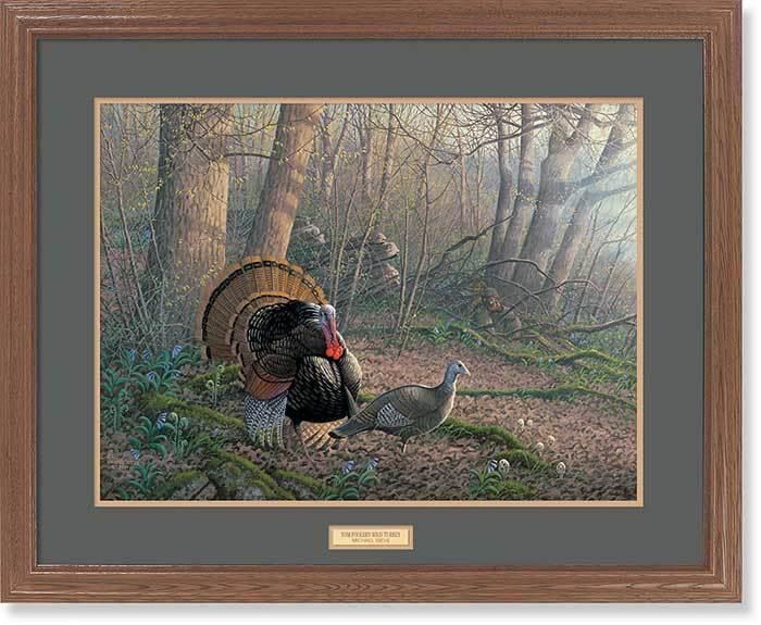 Tom Foolery - Turkeys by Sieve - GNA Premium Print GNA Premium