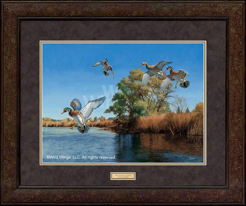 framed-wood-ducks-art-print-seton-channel-by-david-maass-EPR5407005Dd_7781045c-c837-4794-998f-cfba192cac23.jpg