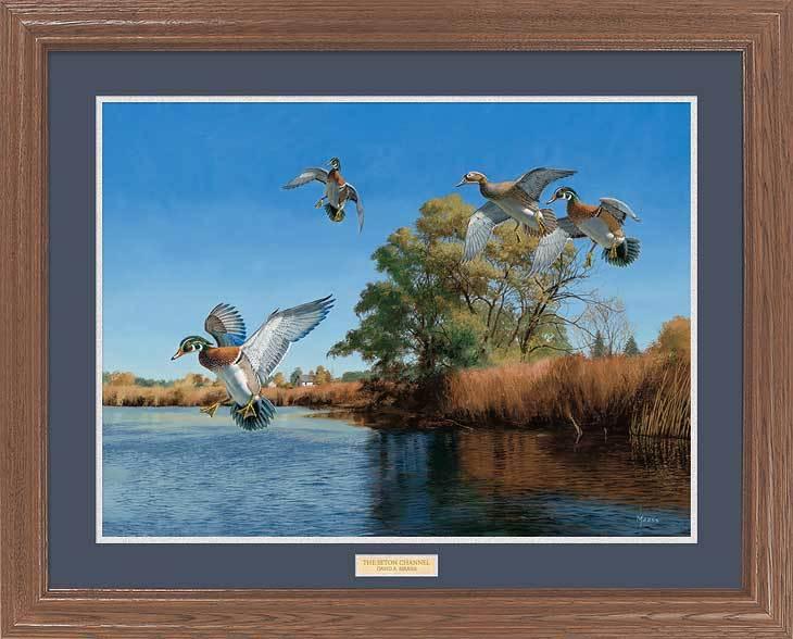 framed-wood-ducks-art-print-the-seton-channel-by-david-maass-EPR5407005d_02388eea-b742-4c30-ab6e-1a692088f6eb.jpg