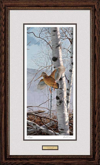 Climbing High—Woodcock - Limited Edition Paper
