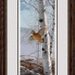 Climbing High—Woodcock - Limited Edition Paper