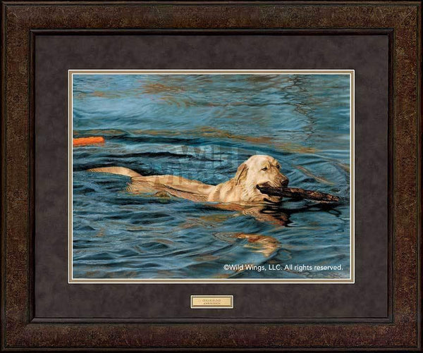 framed-yellow-lab-art-print-by-john-aldrich-EPR0151856Dd_e0ec6f51-1420-4a94-aca7-56a97900f17f.jpg