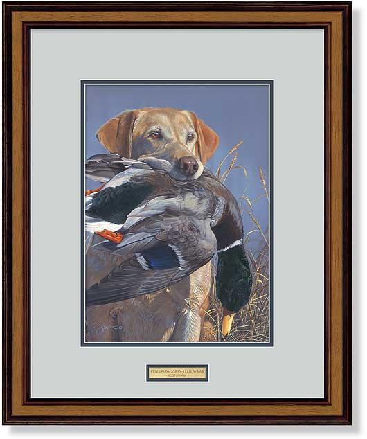 framed-yellow-lab-hunting-dog-art-print-by-scot-storm-f830668056d.jpg