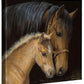 Gentle Touch-Horse - 14" x 14" Gallery Wrapped Canvas