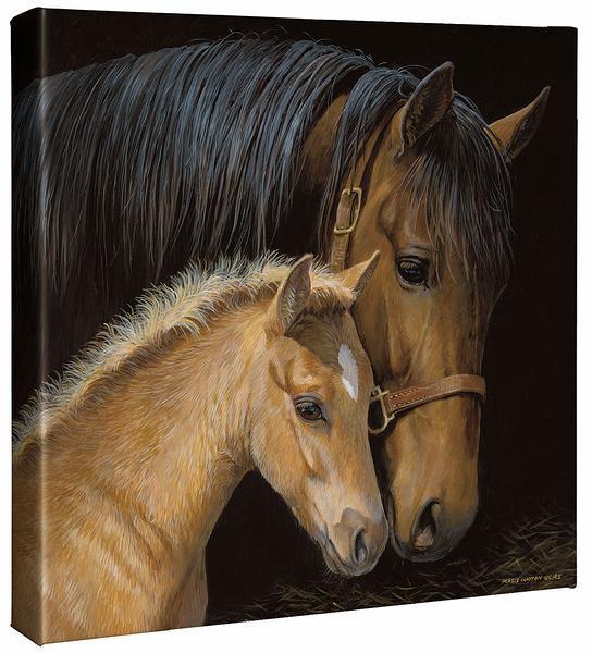 Gentle Touch-Horse - 14" x 14" Gallery Wrapped Canvas