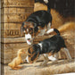 Getting Acquanited - Beagles - 14" x 14" Gallery Wrapped Canvas