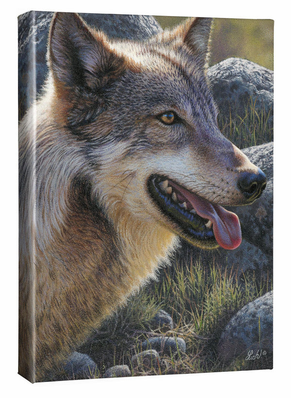 Gray Matter—Wolf - 18" x 13" Gallery Wrapped Canvas