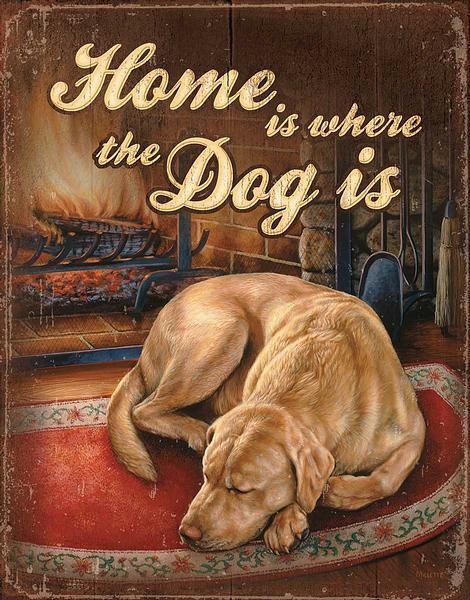 Home is Where the Dog Is - 11.875" x 16.75" Tin Sign