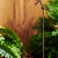 Songbird - Garden Stake Collection