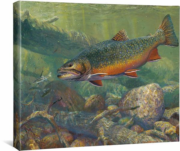Hunting the Hunters - Brook Trout - 16" x 20.5" Gallery Wrapped Canvas