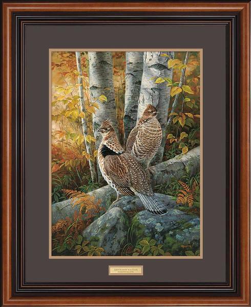 late-season-solitude-ruffed-grouse-framed-limited-edition-print-rosemary-millette-F593310017.jpg
