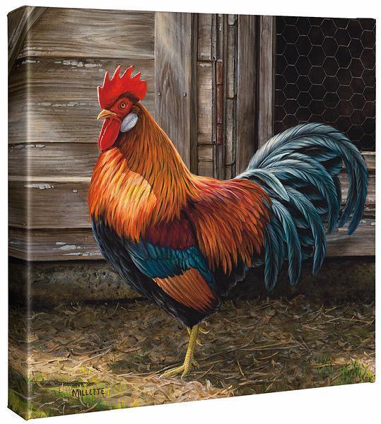 Leghorn - Light Brown Rooster - 14" x 14" Gallery Wrapped Canvas