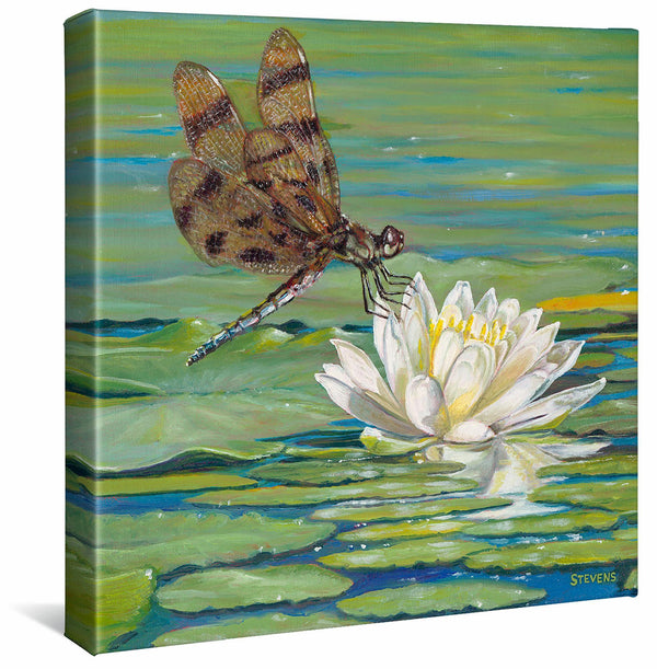 Lily and Lace—Dragonfly - 14" x 14" Gallery Wrapped Canvas