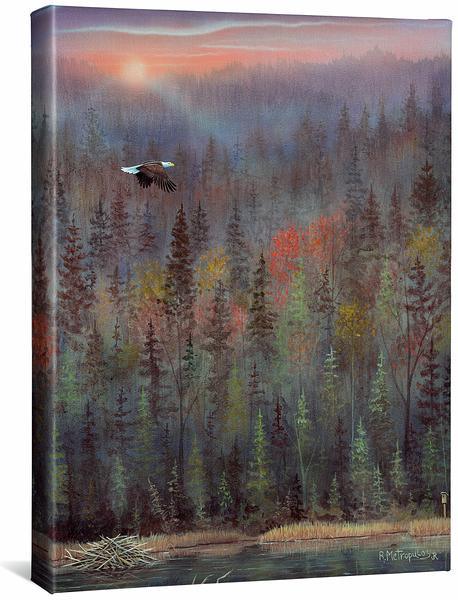 Misty Forest Bald Eagle - 20.5" x 16" Gallery Wrapped Canvas