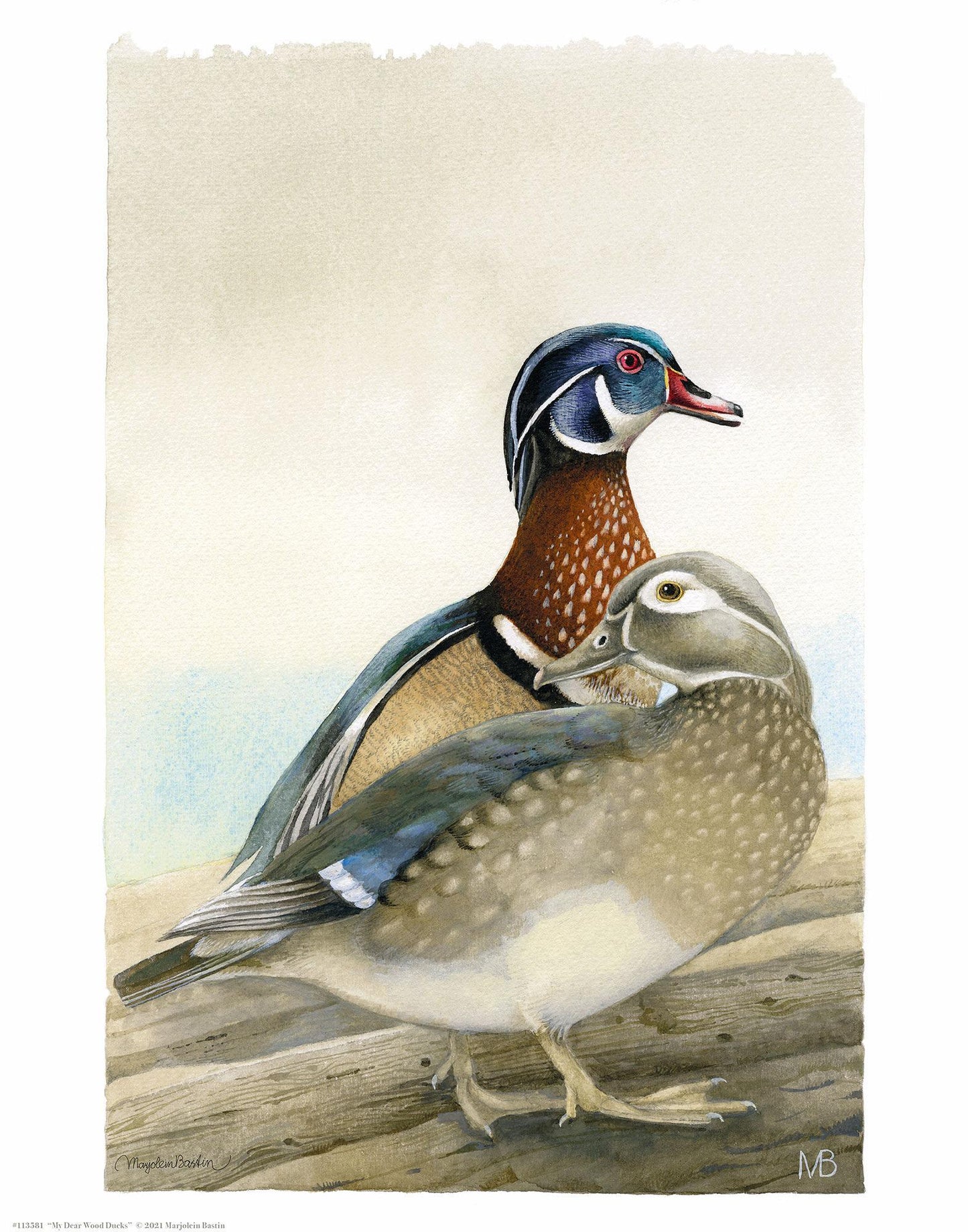 my-dear-wood-ducks14x11-apbastin-1058559505.jpg