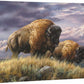 Nomads of the Plains - Bison - 24" x 36" Gallery Wrapped Canvas