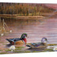 Northwoods Splendor—Wood Ducks - 18" x 36" Gallery Wrapped Canvas