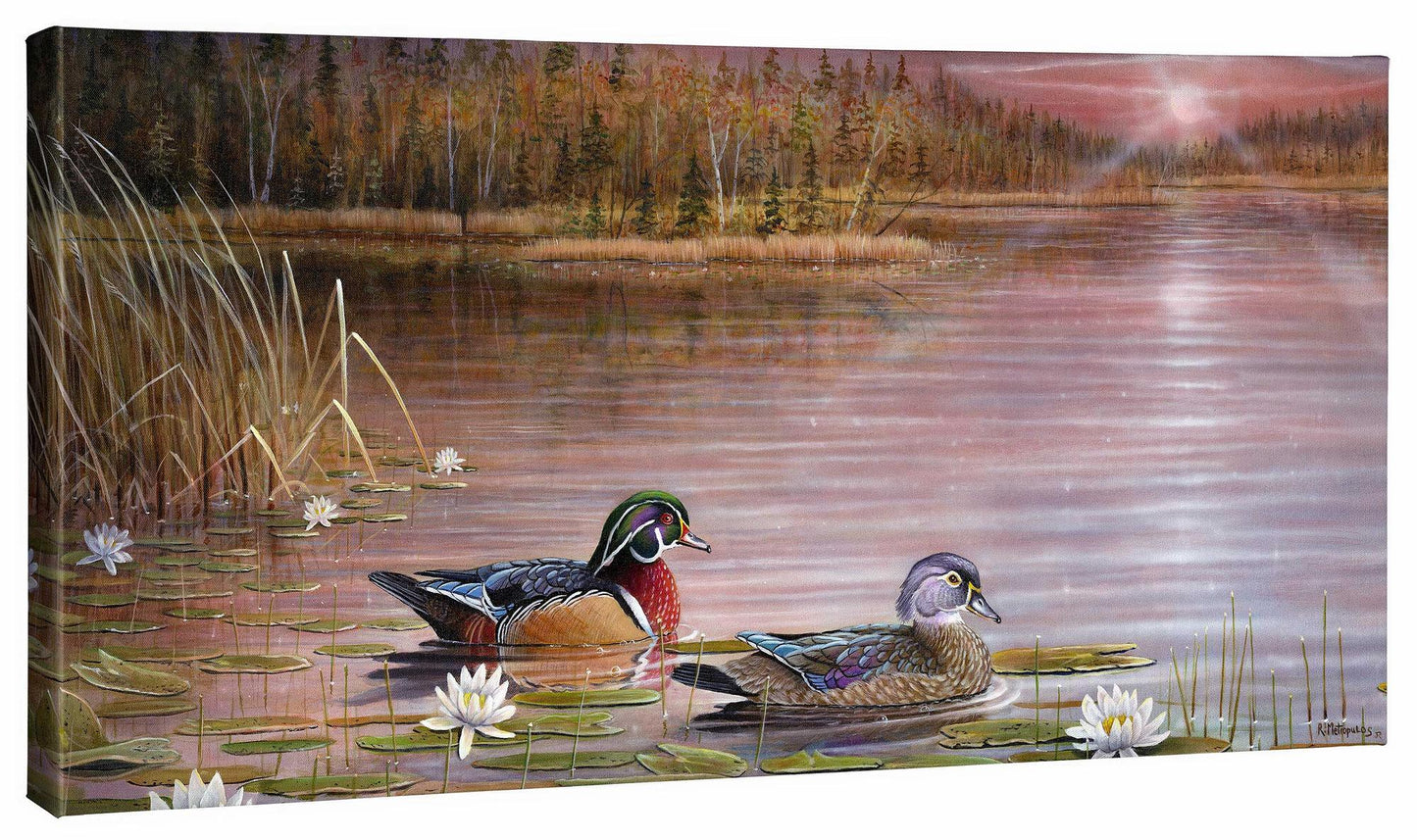 Northwoods Splendor—Wood Ducks - 18" x 36" Gallery Wrapped Canvas
