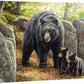 Northwoods Springtime - Black Bears - 24" x 36" Gallery Wrapped Canvas