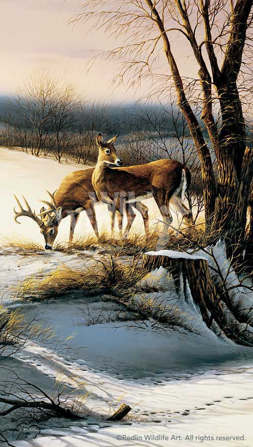 on-the-alert-by-terry-redlin-1701402589d.jpg