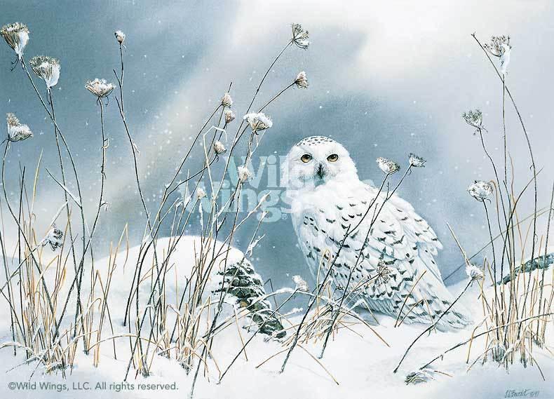 On The North Wind by Susan Bourdet features a snowy owl resting among frosty grasses and wildflowers in a serene, snow-covered landscape.