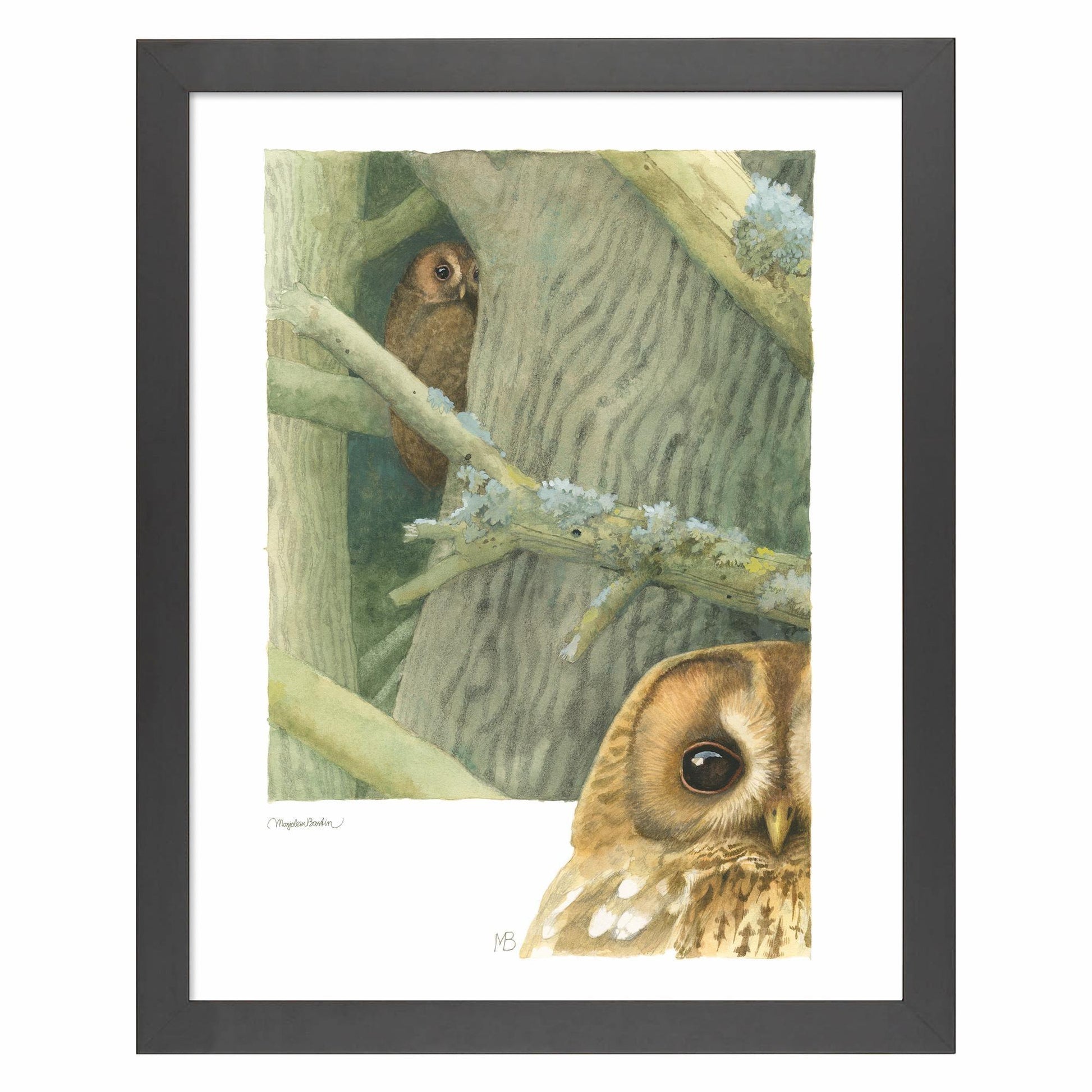 owls-around-the-house-framed-print-marjolein-bastin-F058590030B.jpg