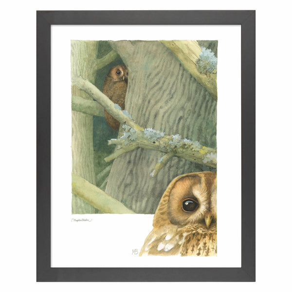 owls-around-the-house-framed-print-marjolein-bastin-F058590030B.jpg