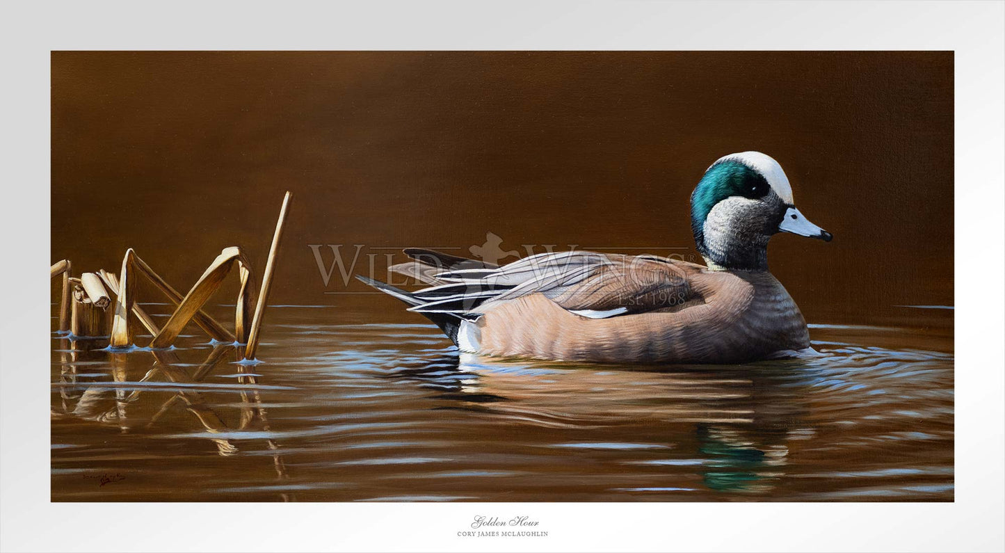 Golden Hour - Limited Edition Paper