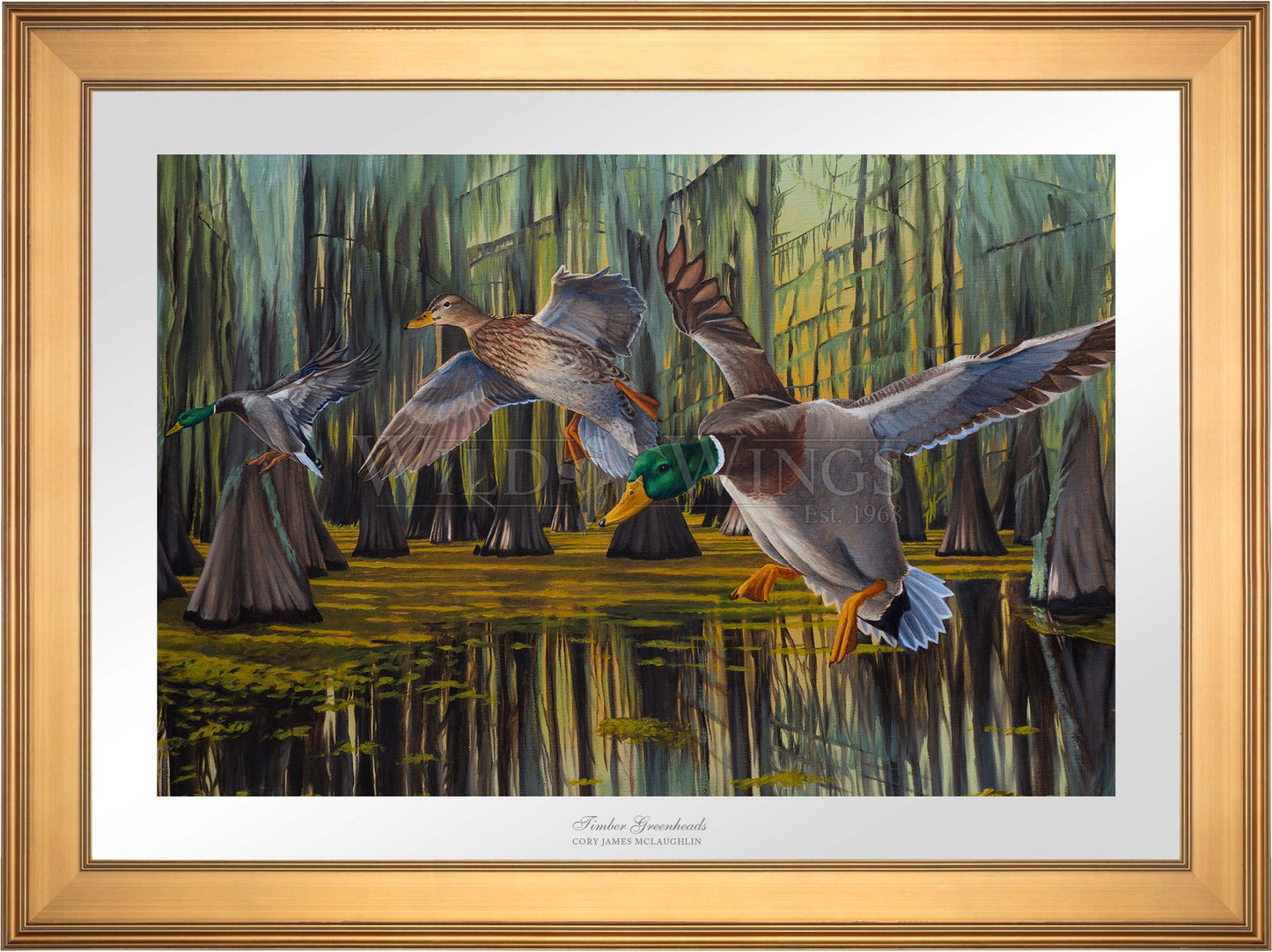 Timber Greenheads - Limited Edition Paper