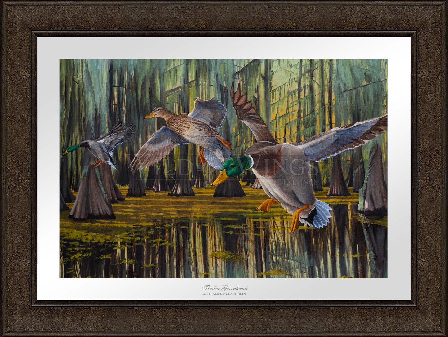 Timber Greenheads - Limited Edition Paper