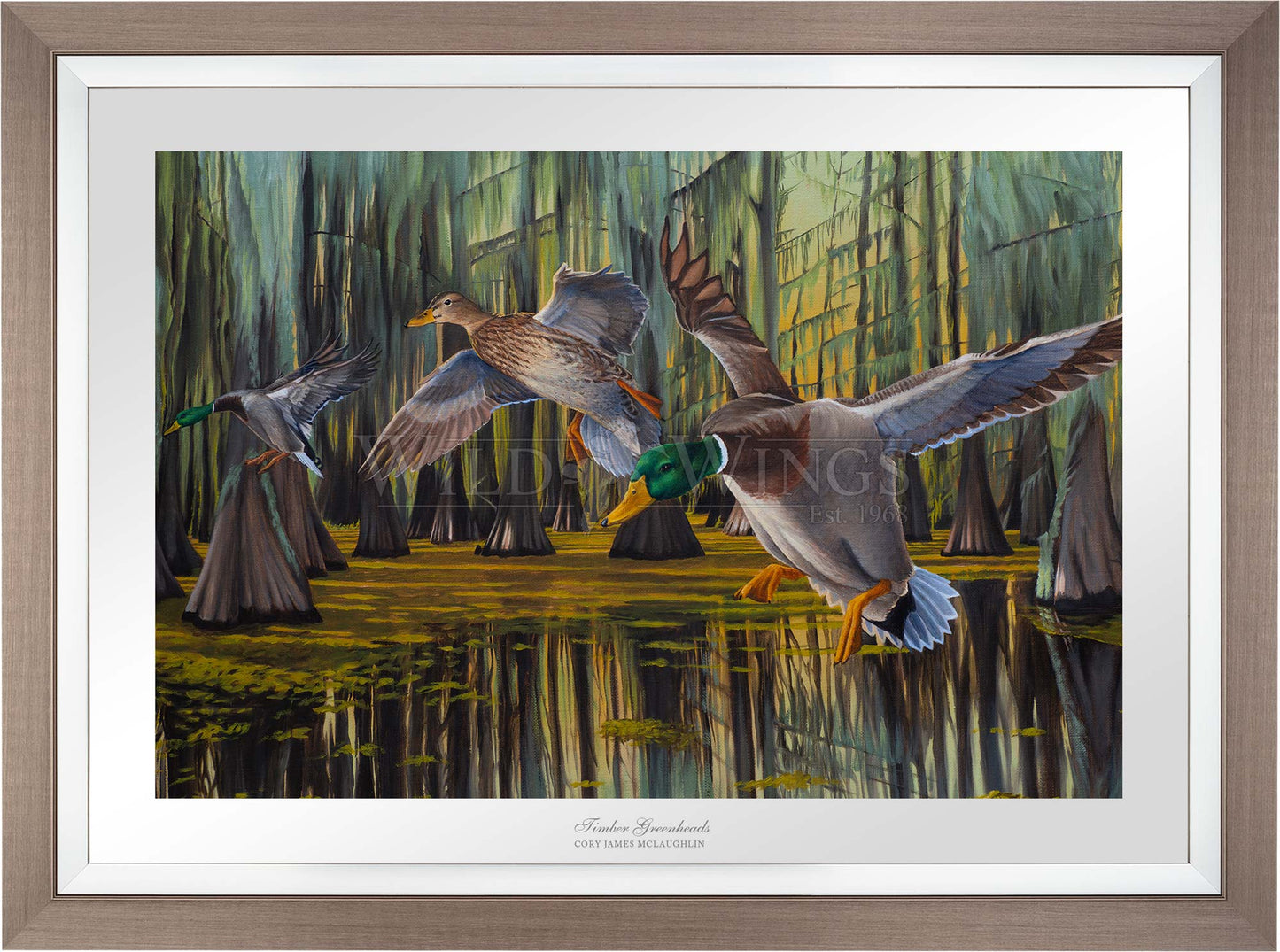Timber Greenheads - Limited Edition Paper