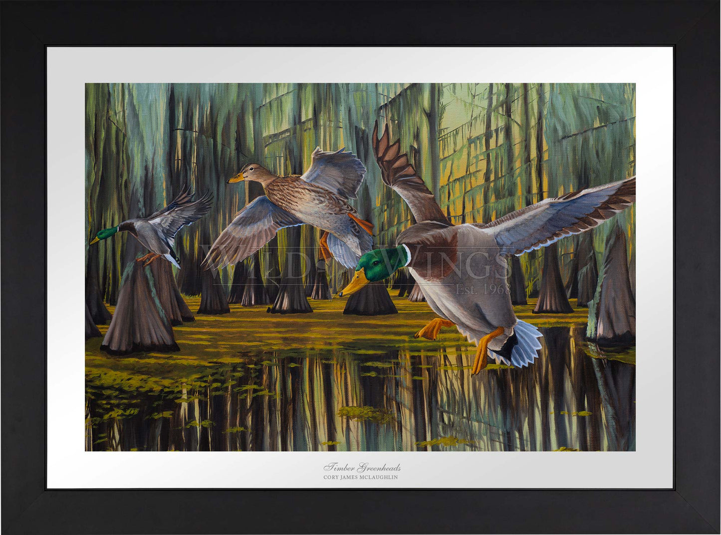 Timber Greenheads - Limited Edition Paper