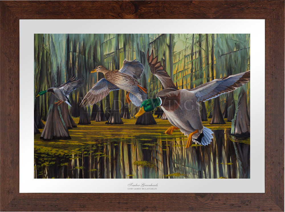 Timber Greenheads - Limited Edition Paper