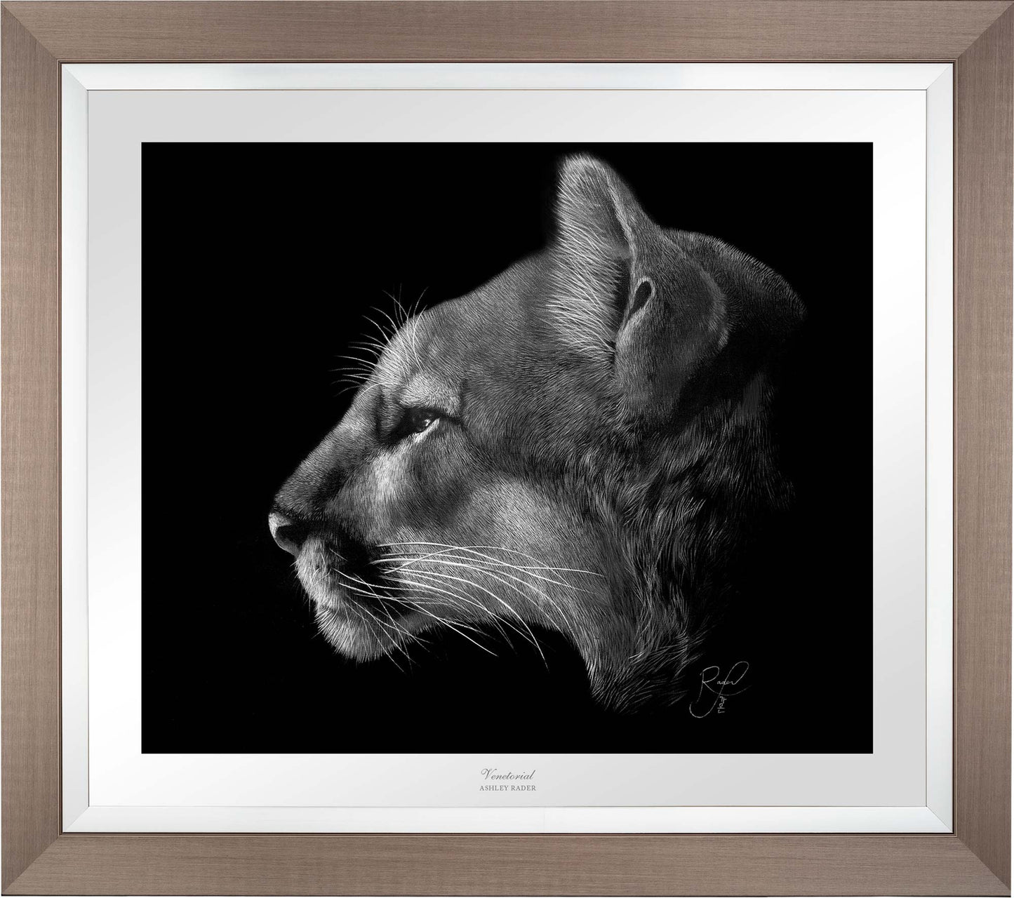 Venetorial - Limited Edition Paper