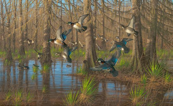 Party Time—Wood Ducks - Limited Edition Canvas
