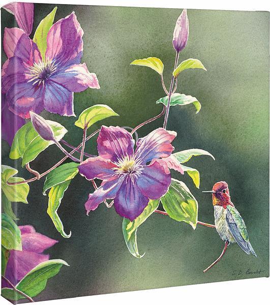 Passion for Pink - Anna's in Clematis - 14" x 14" Gallery Wrapped Canvas