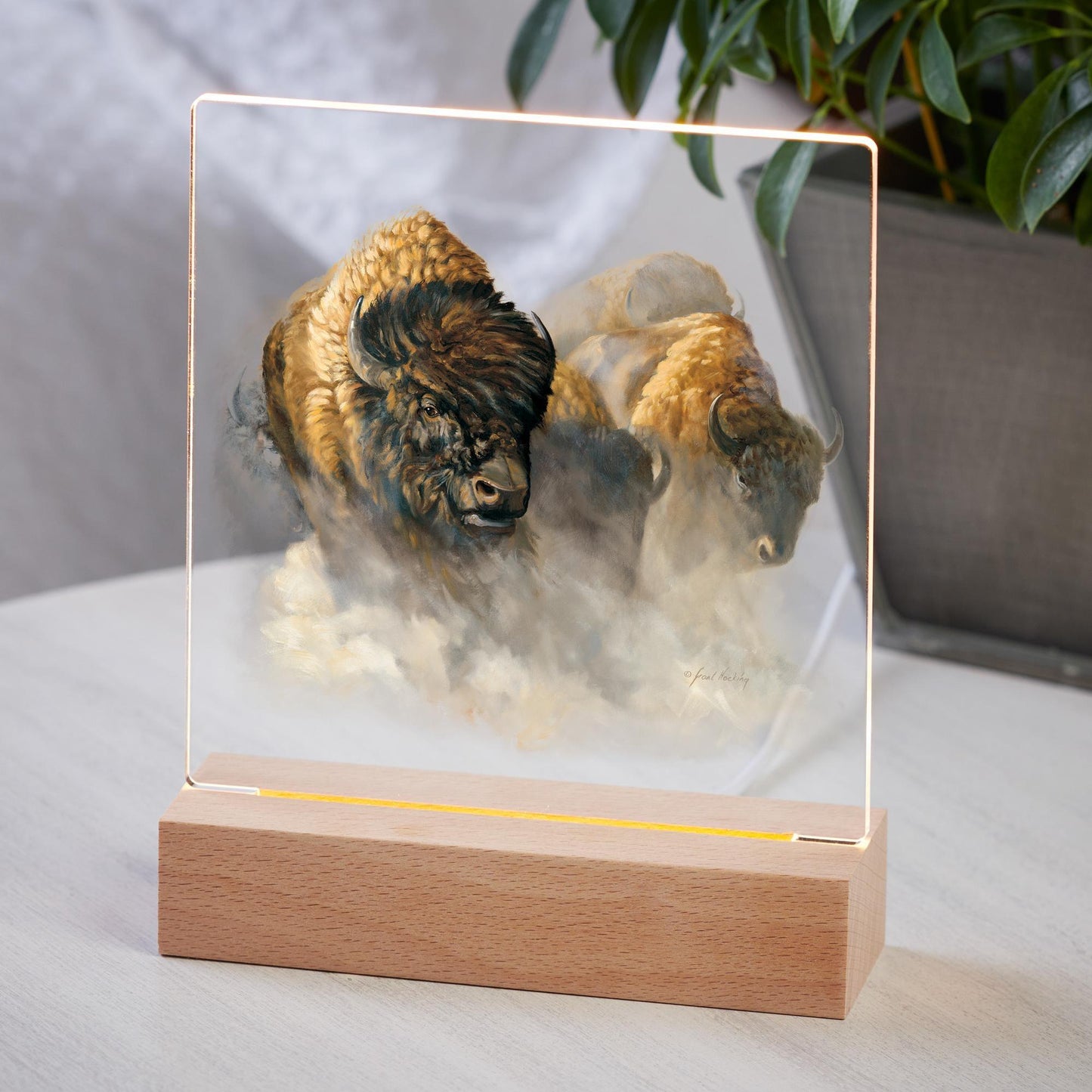Phantoms of the Plains—Bison - Acrylic Night Light
