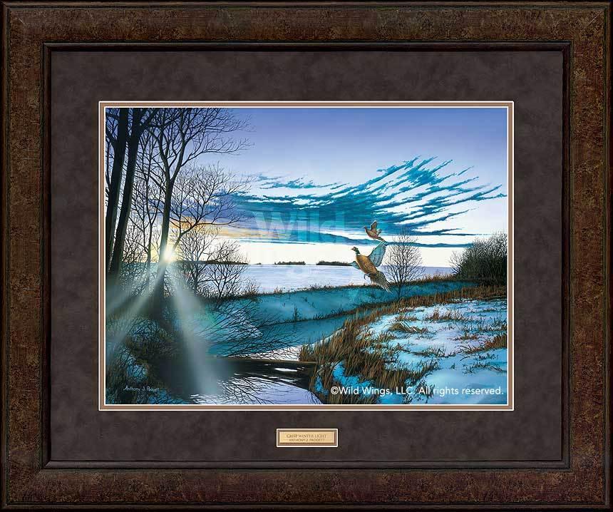 pheasant-art-crisp-winter-light-by-anthony-padgett-1642460019dd_c9bf3810-c3a5-450e-ac87-c46569effeb9.jpg