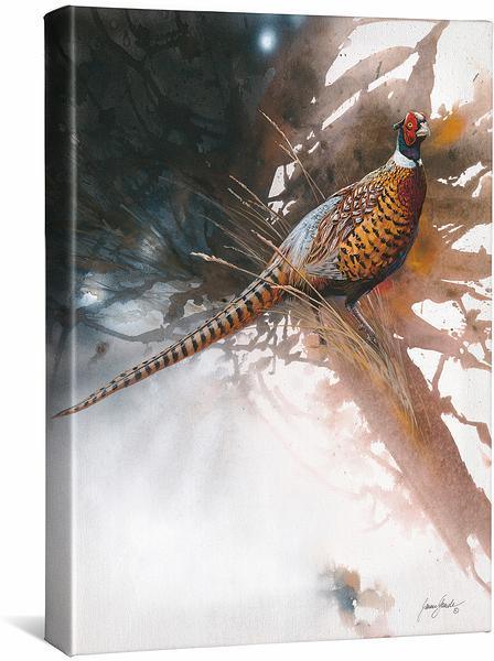 pheasant-gallery-wrapped-canvas-janene-grende-F351169419CGW_6dfbba4c-b9ec-4cdc-bb61-ab537297c534.jpg