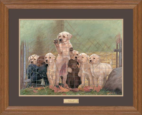 pick-me-lab-puppies-gna-premium-framed-print-larry-beckstein-EPR0475156_d152dc8d-7ef1-4621-9430-e6c84b6523b1.jpg