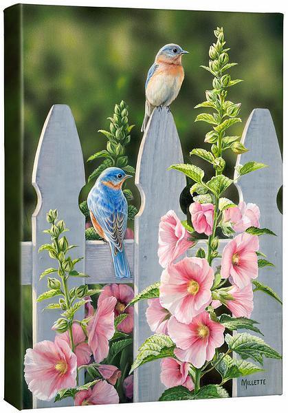Picket Fence - Bluebirds - 18" x 13" Gallery Wrapped Canvas