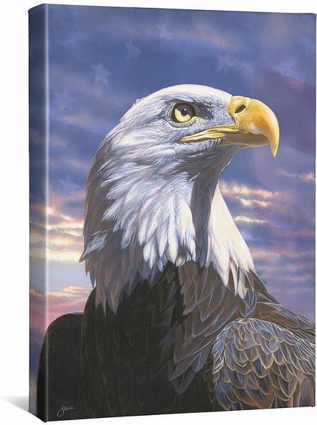 Pride - Bald Eagle - 18" x 13" Gallery Wrapped Canvas