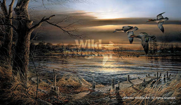 reflections-by-terry-redlin-1701445089d.jpg