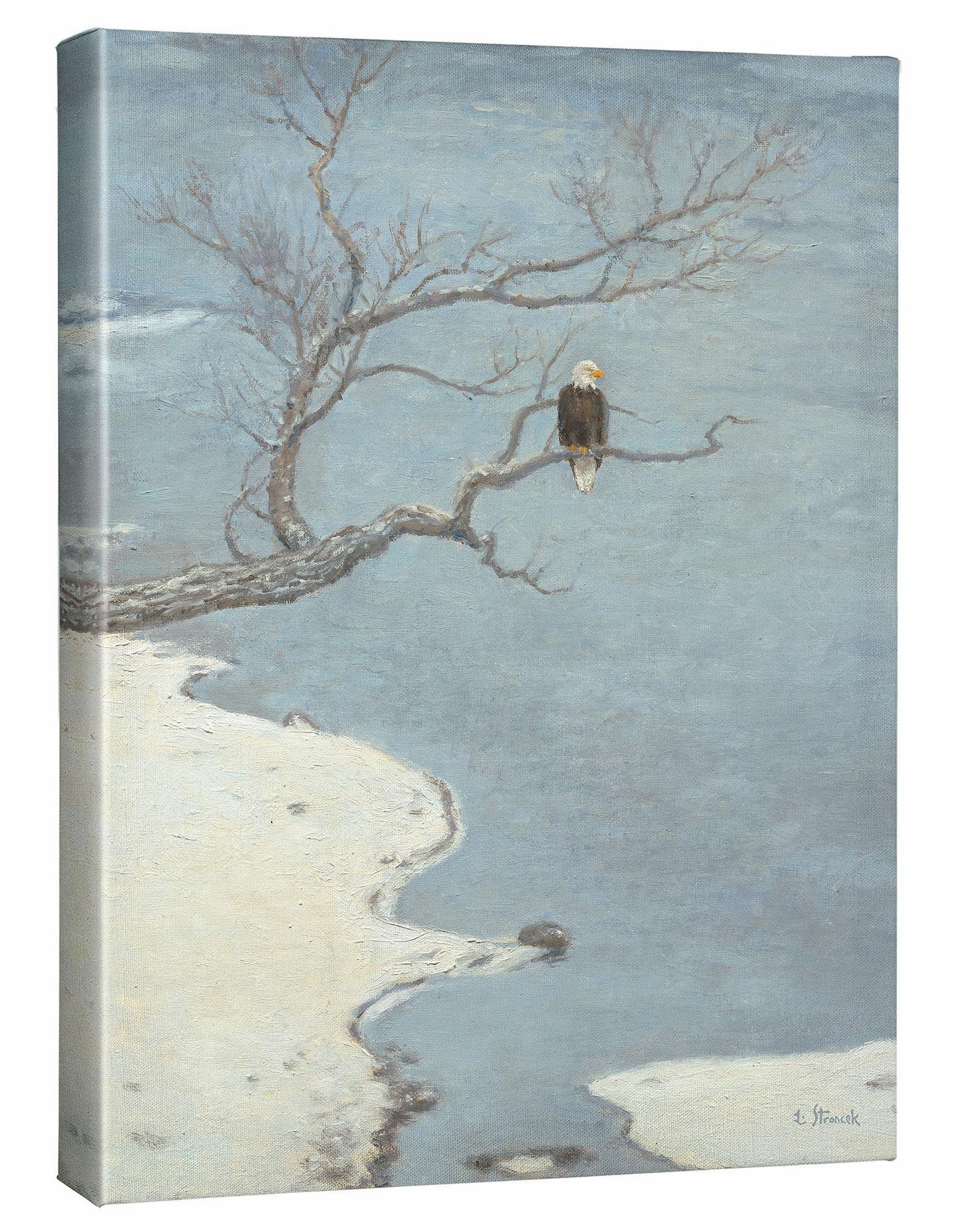 River Watch—Bald Eagle - 20.5" x 16" Gallery Wrapped Canvas