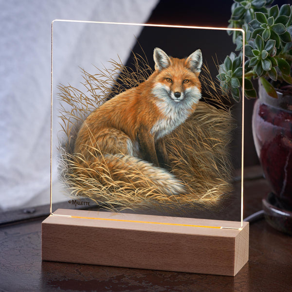 Rustic Retreat - Fox - Acrylic Night Light