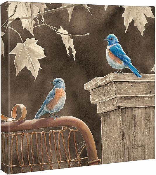 Rusty Gate - Bluebird - 14" x 14" Gallery Wrapped Canvas