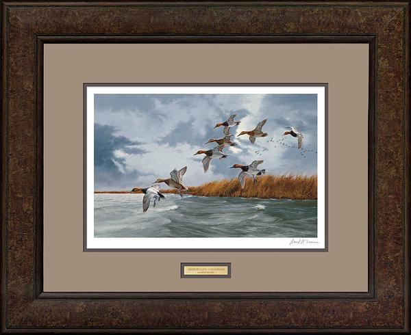 silver-bullets-canvasbacks-framed-signed-print-david-a-maass-F540707507.jpg