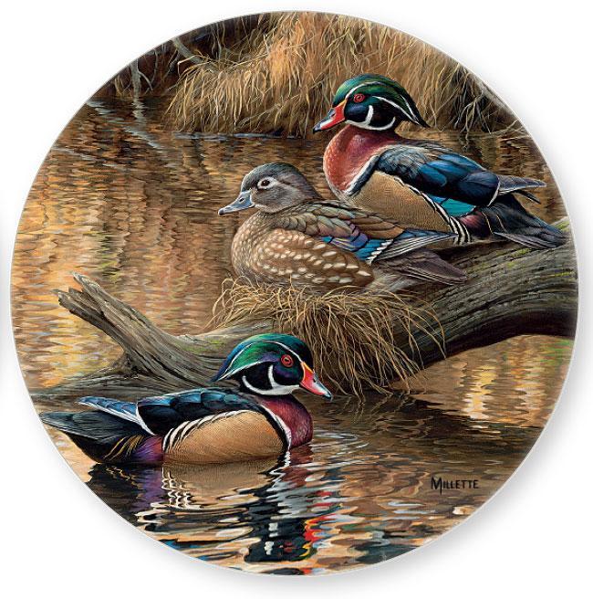 sitting-pretty-wood-ducks-millette-coaster-4209101005d_17f38aba-ecf3-4109-9b9c-d749e93dae93.jpg