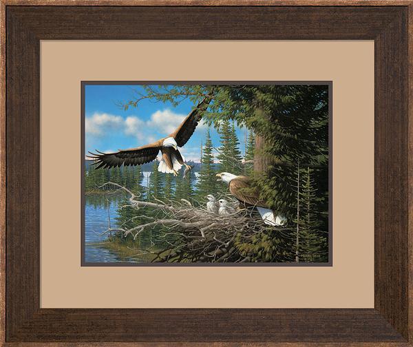 spring-bald-eagles-michael-sieve-F780710032R.jpg