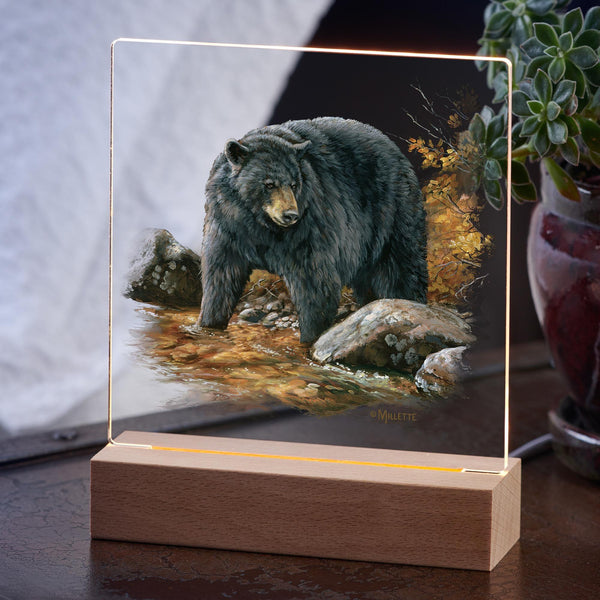 Streamside—Black Bear - Acrylic Night Light